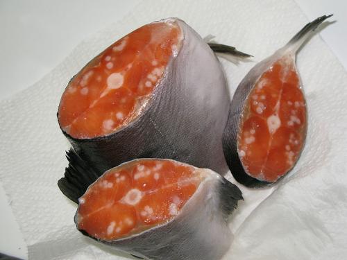 How To Freeze Mashed Salmon